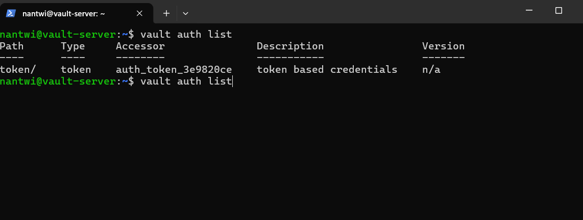 Vault auth list showing only the token auth method enabled by default