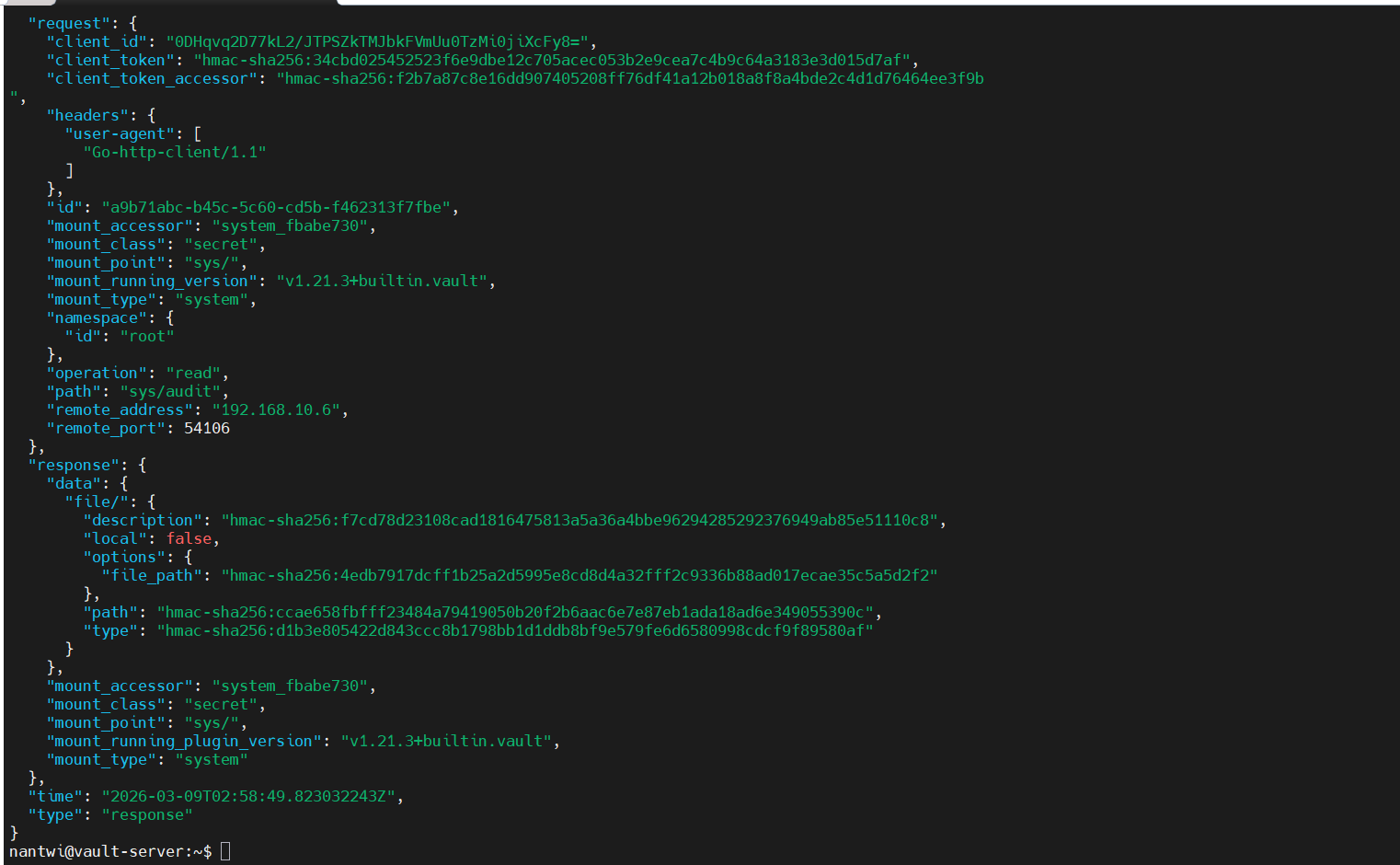 Sample audit log output at /opt/vault/audit.log showing JSON-formatted request and response entries